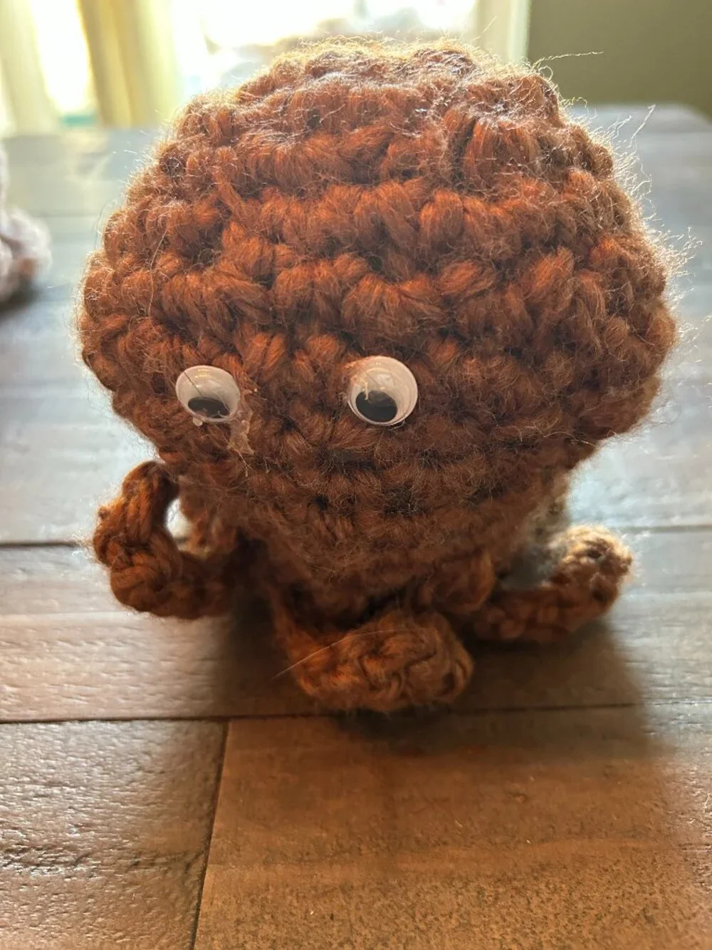 Small Brown Octopus